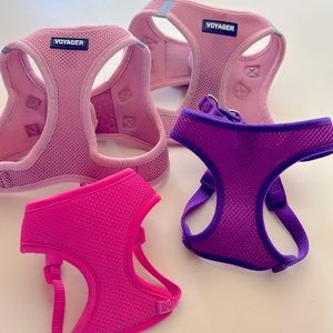 Set of puppy harnesses
